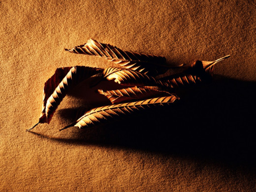 392985 (a): :1024x768